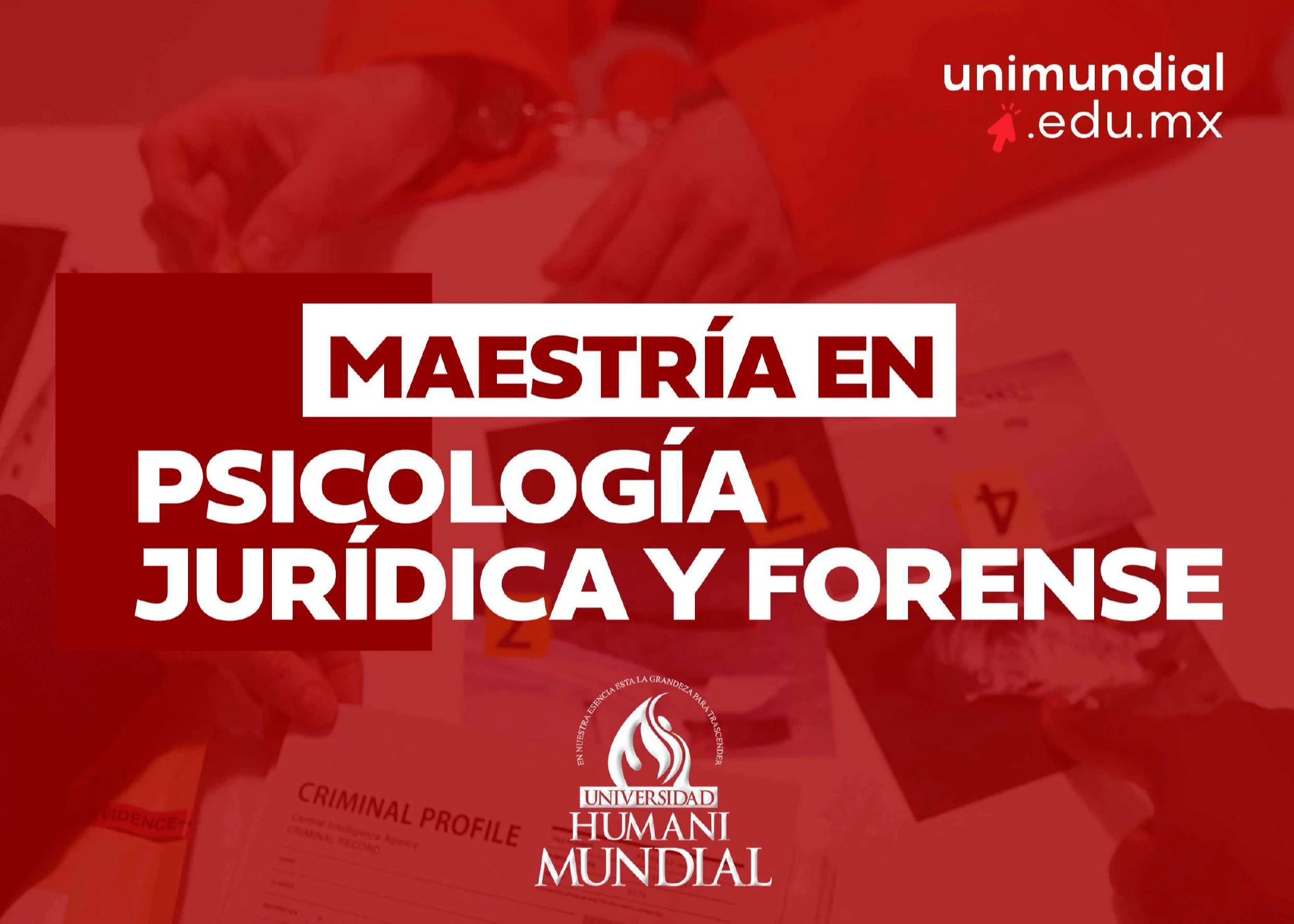 Maestría en Psicología Jurídica y Forense en Guanajuato